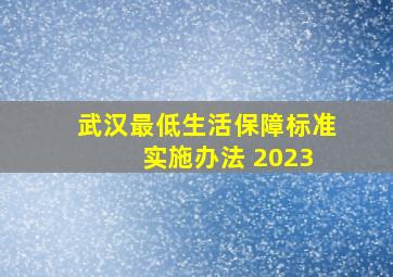 武汉最低生活保障标准 实施办法 2023